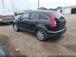 2009 Honda Cr-v Ex-l Blue vin: 5J6RE48759L062193