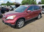 2009 Honda Cr-v Exl Бордовый vin: 5J6RE48759L068673