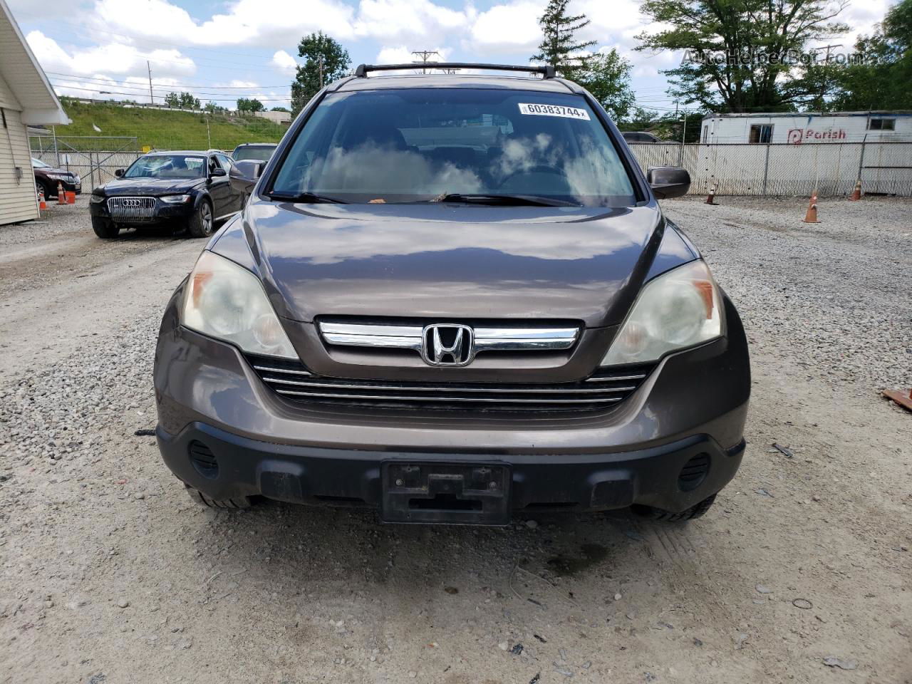 2009 Honda Cr-v Exl Коричневый vin: 5J6RE48779L013982