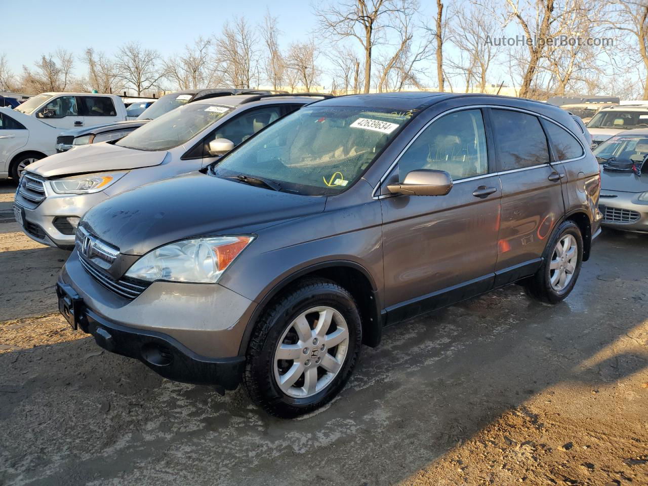 2009 Honda Cr-v Exl Gray vin: 5J6RE48779L015005