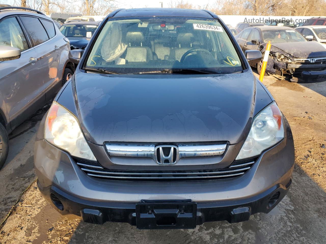 2009 Honda Cr-v Exl Gray vin: 5J6RE48779L015005