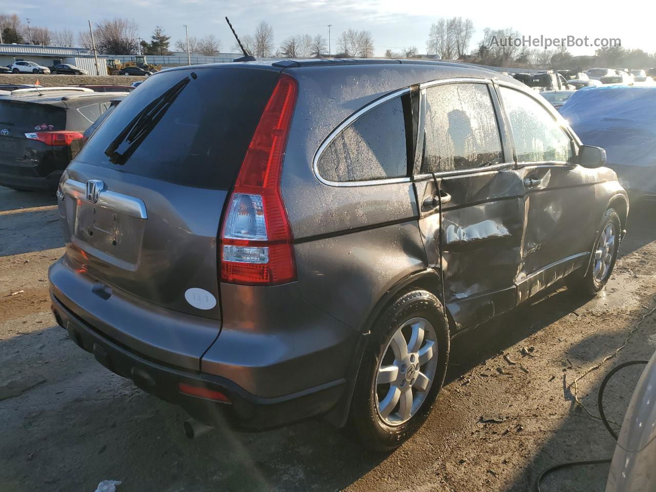 2009 Honda Cr-v Exl Gray vin: 5J6RE48779L015005