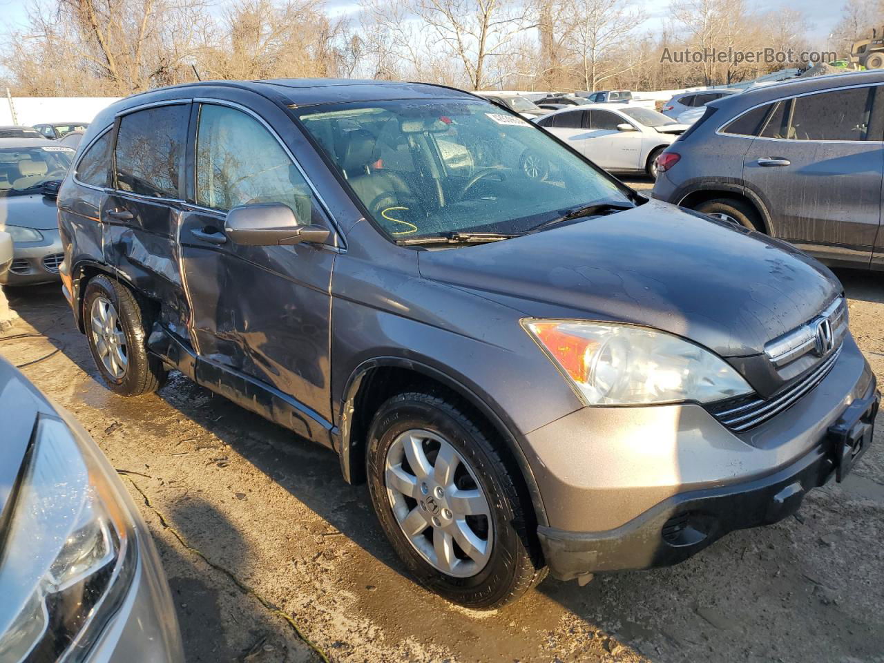 2009 Honda Cr-v Exl Gray vin: 5J6RE48779L015005