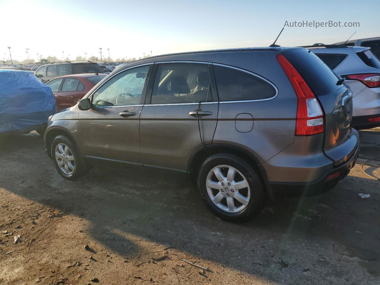 2009 Honda Cr-v Exl Серый vin: 5J6RE48779L015005