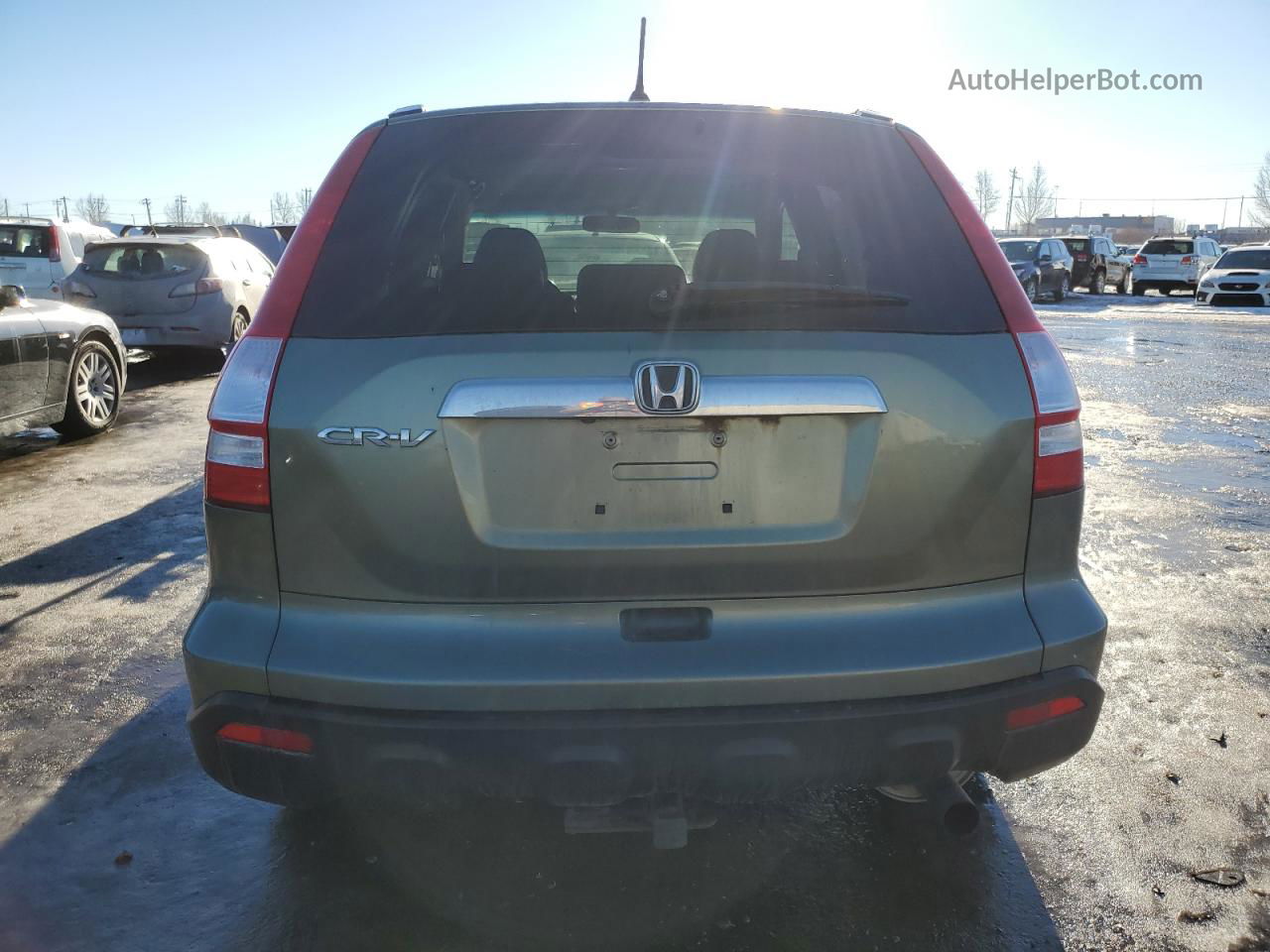 2009 Honda Cr-v Exl Green vin: 5J6RE48779L801743