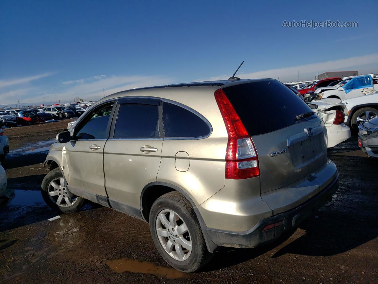 2009 Honda Cr-v Exl Gold vin: 5J6RE48789L000870