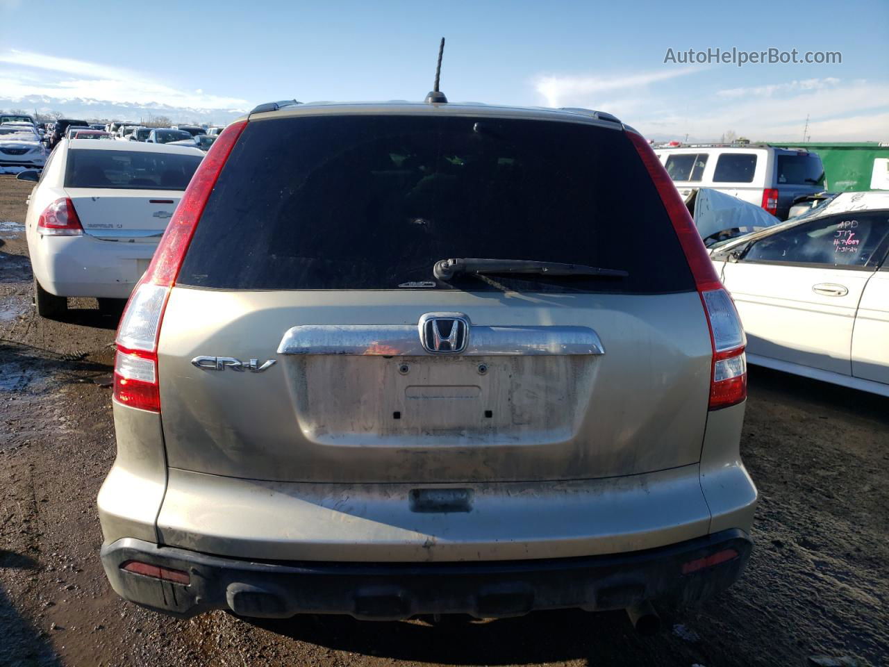 2009 Honda Cr-v Exl Gold vin: 5J6RE48789L000870