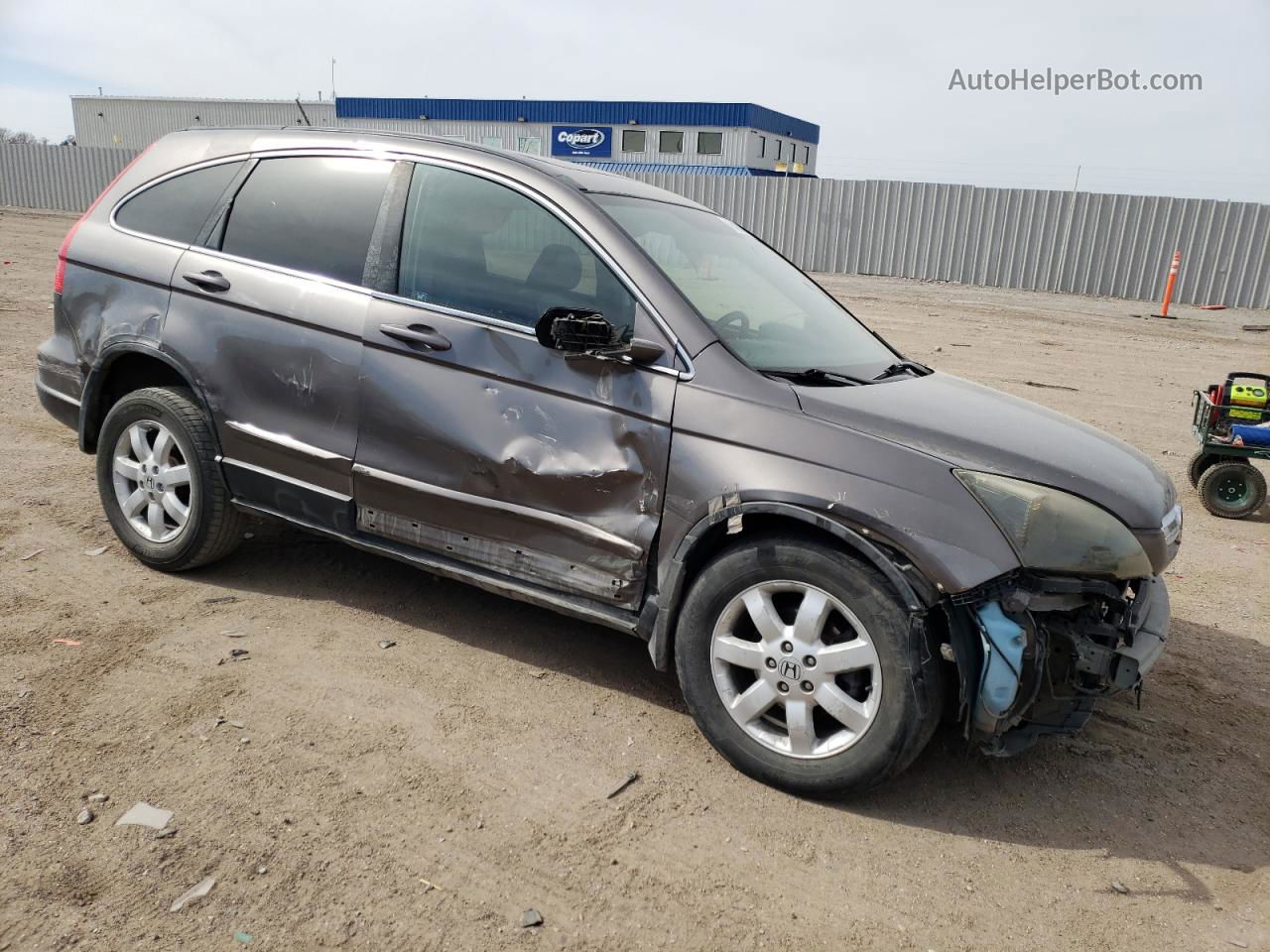 2009 Honda Cr-v Exl Gray vin: 5J6RE48789L027129