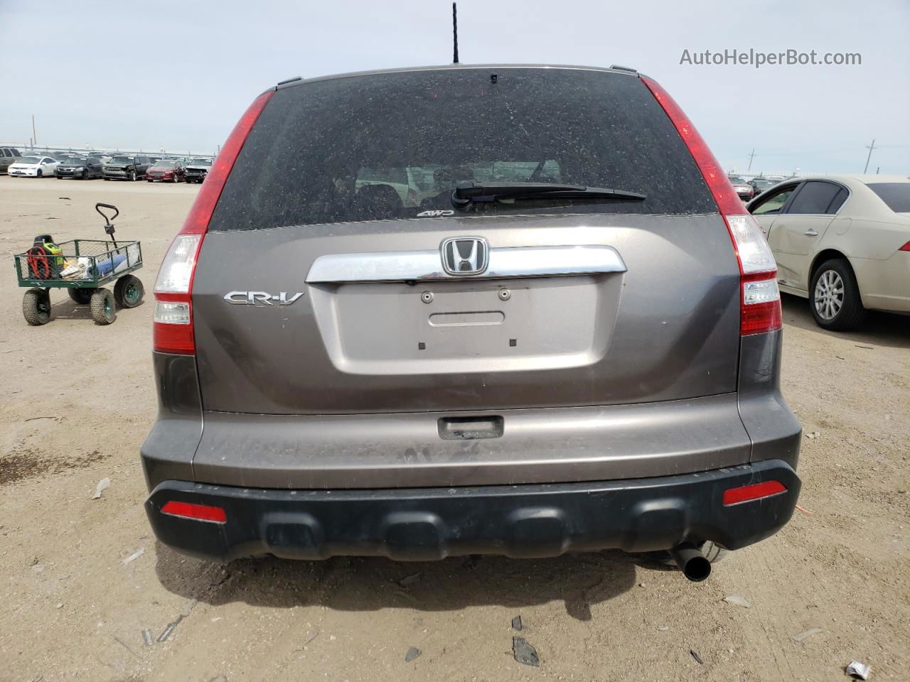 2009 Honda Cr-v Exl Gray vin: 5J6RE48789L027129