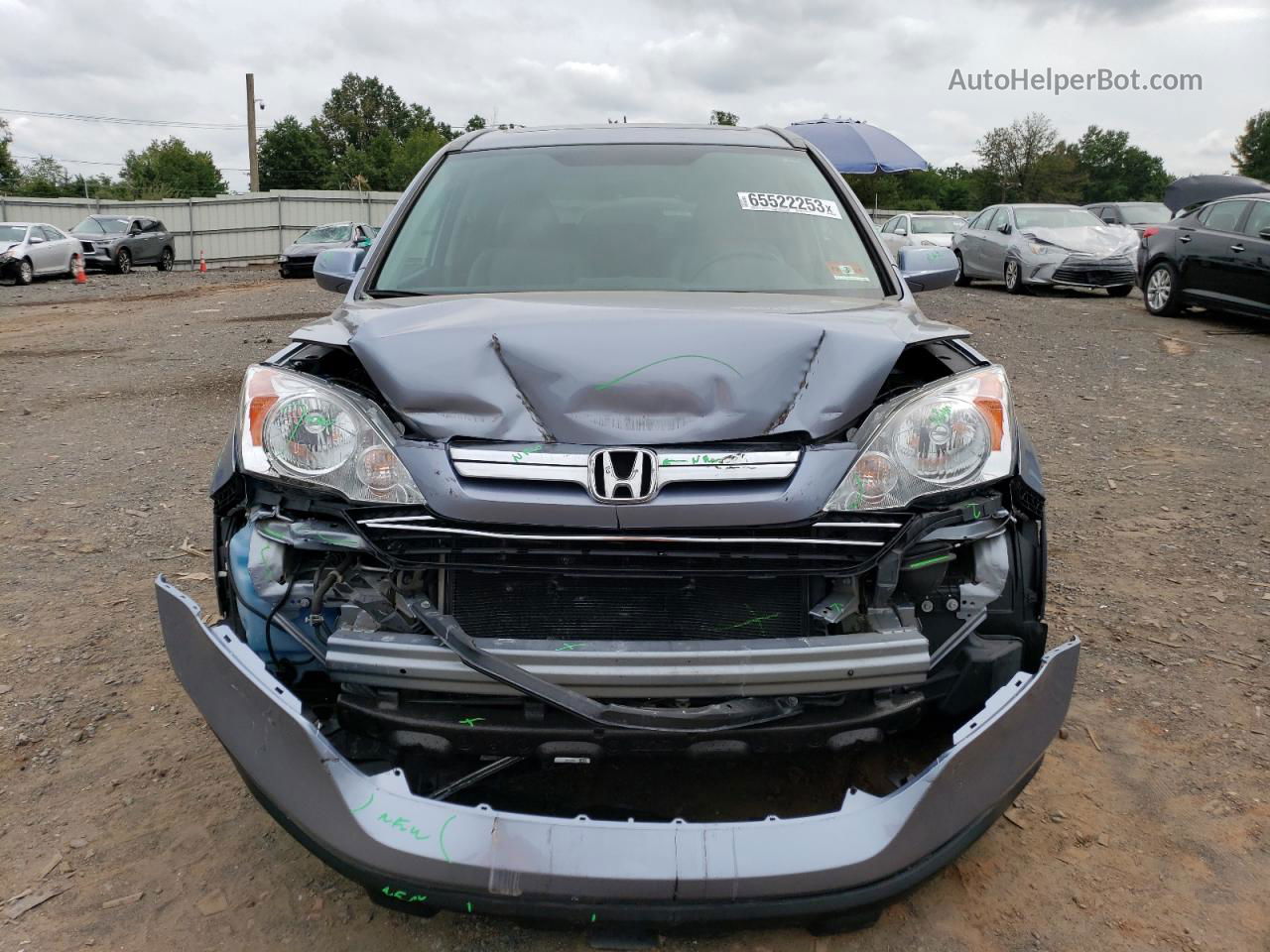 2009 Honda Cr-v Exl Серый vin: 5J6RE48789L032184