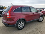 2009 Honda Cr-v Exl Коричневый vin: 5J6RE48799L019136