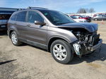 2009 Honda Cr-v Exl Brown vin: 5J6RE48799L061175