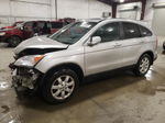 2009 Honda Cr-v Exl Silver vin: 5J6RE487X9L041209