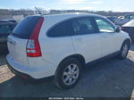 2009 Honda Cr-v Ex-l Белый vin: 5J6RE487X9L068913