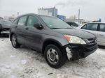 2010 Honda Cr-v Lx Gray vin: 5J6RE4H30AL016224