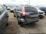 2010 Honda Cr-v Lx Серый vin: 5J6RE4H30AL052740