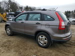 2010 Honda Cr-v Lx Gray vin: 5J6RE4H30AL093675