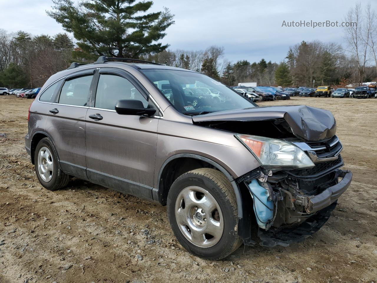 2010 Honda Cr-v Lx Gray vin: 5J6RE4H30AL093675