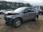 2010 Honda Cr-v Lx Gray vin: 5J6RE4H30AL093675