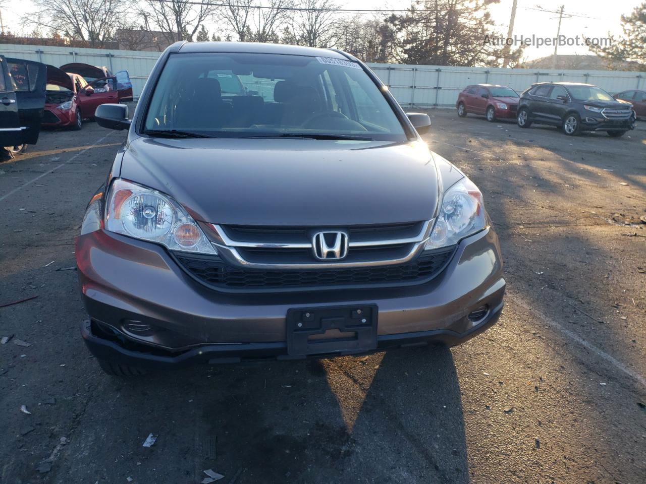 2010 Honda Cr-v Lx Gray vin: 5J6RE4H31AL081678