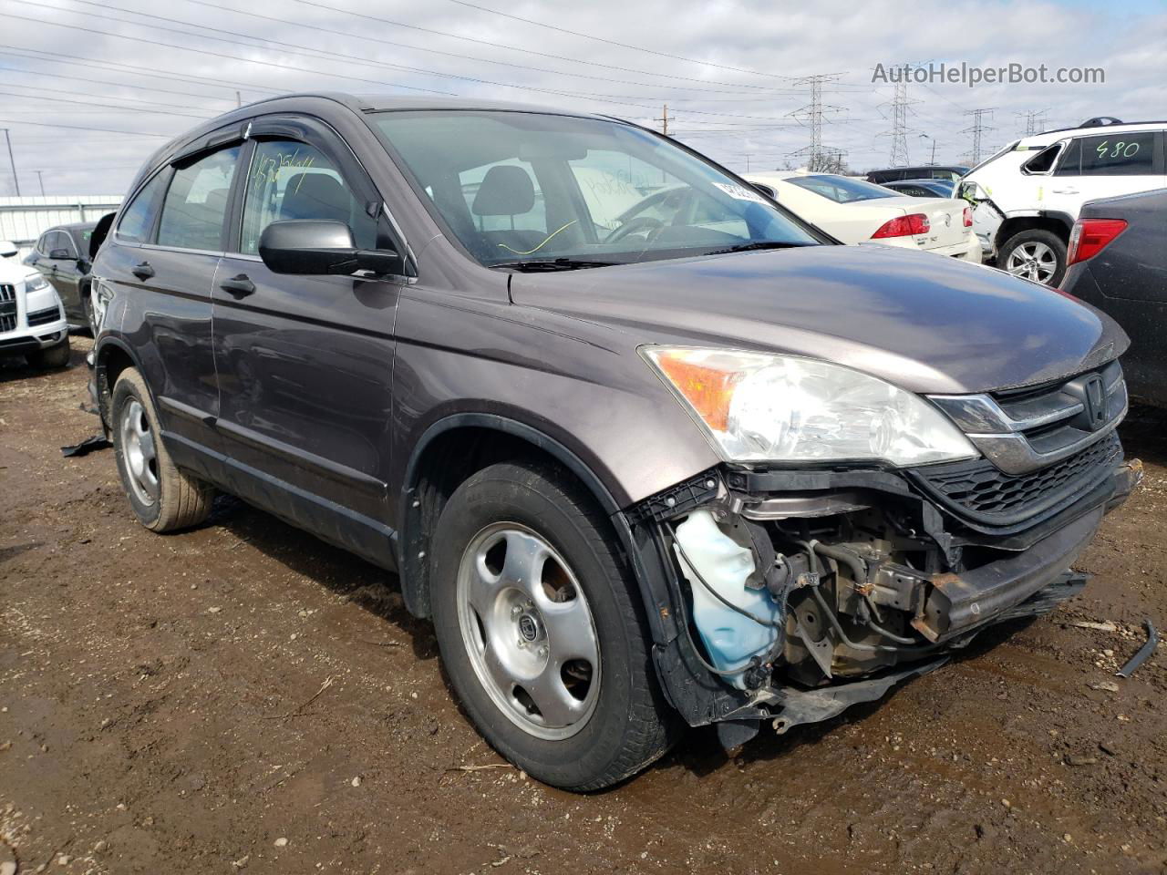 2010 Honda Cr-v Lx Gray vin: 5J6RE4H31AL093698