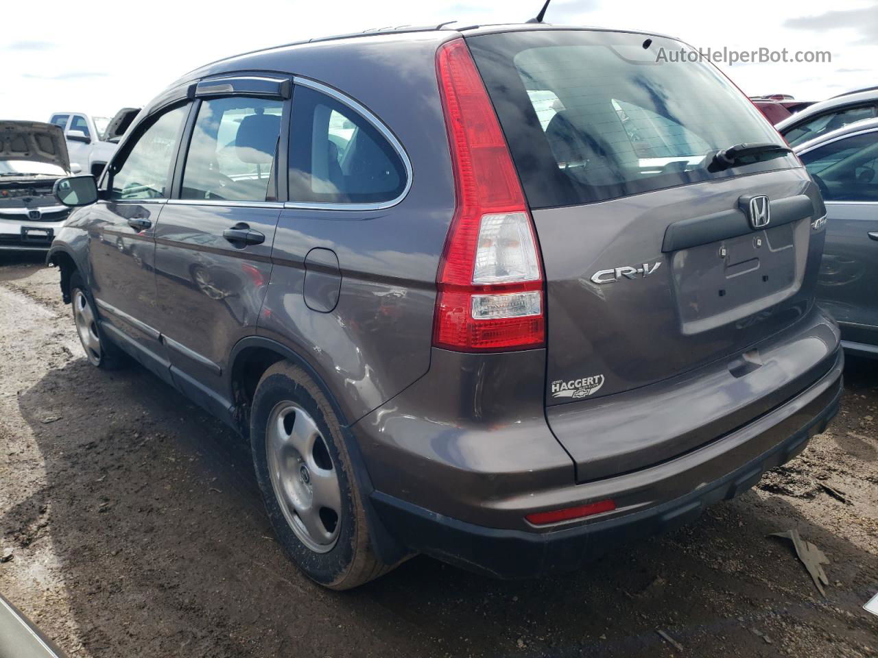 2010 Honda Cr-v Lx Gray vin: 5J6RE4H31AL093698