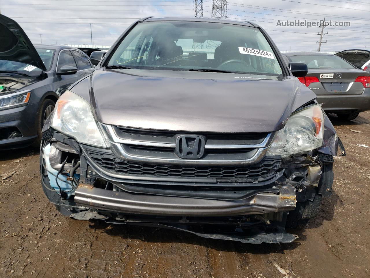 2010 Honda Cr-v Lx Gray vin: 5J6RE4H31AL093698