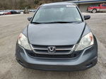 2010 Honda Cr-v Lx Gray vin: 5J6RE4H31AL102478