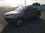 2010 Honda Cr-v Lx Gray vin: 5J6RE4H35AL055276