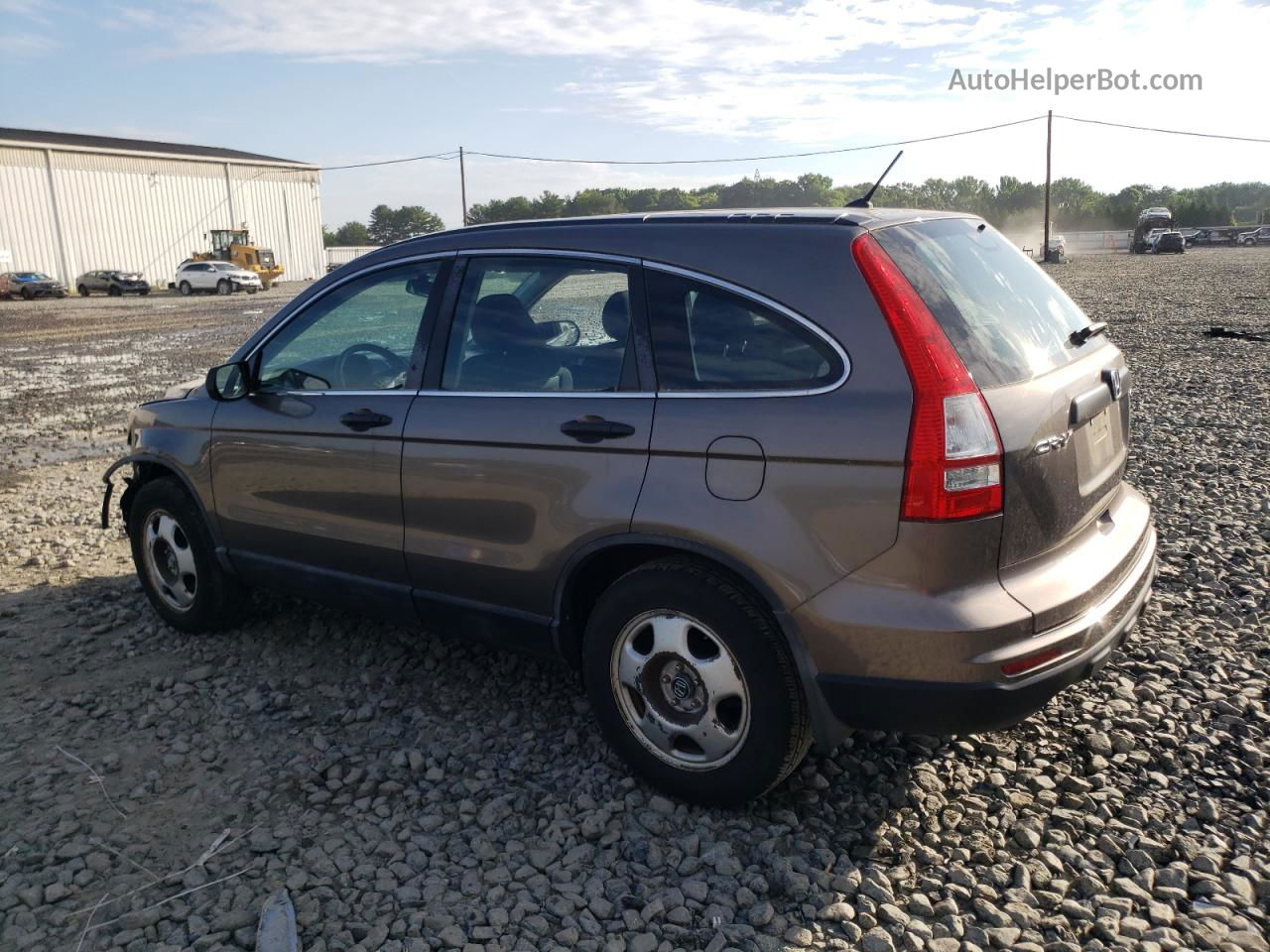 2010 Honda Cr-v Lx Gray vin: 5J6RE4H35AL055276