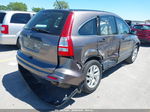 2010 Honda Cr-v Lx Tan vin: 5J6RE4H35AL062499