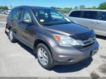 2010 Honda Cr-v Lx Tan vin: 5J6RE4H35AL062499