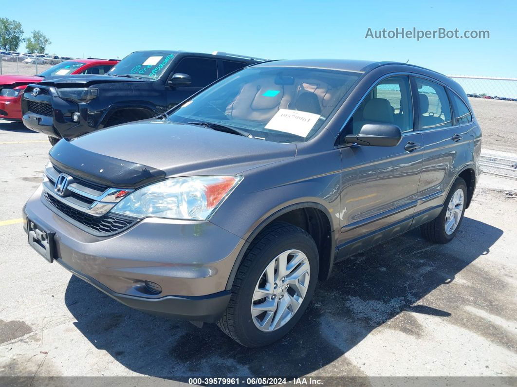 2010 Honda Cr-v Lx Tan vin: 5J6RE4H35AL062499