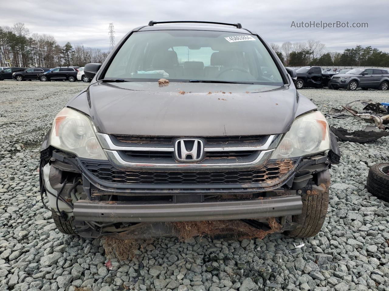 2010 Honda Cr-v Lx Коричневый vin: 5J6RE4H36AL054301