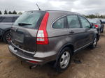 2010 Honda Cr-v Lx Gray vin: 5J6RE4H37AL022327