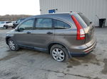 2010 Honda Cr-v Lx Серый vin: 5J6RE4H38AL022093