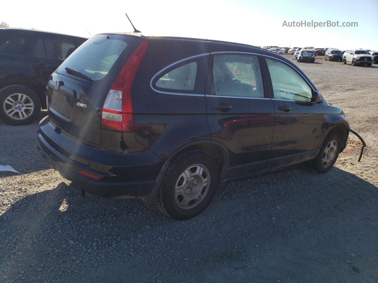 2010 Honda Cr-v Lx Черный vin: 5J6RE4H38AL084996