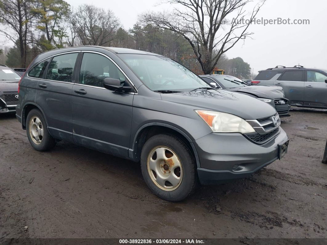 2010 Honda Cr-v Lx Серый vin: 5J6RE4H38AL102476