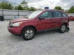 2010 Honda Cr-v Lx Red vin: 5J6RE4H39AL010325