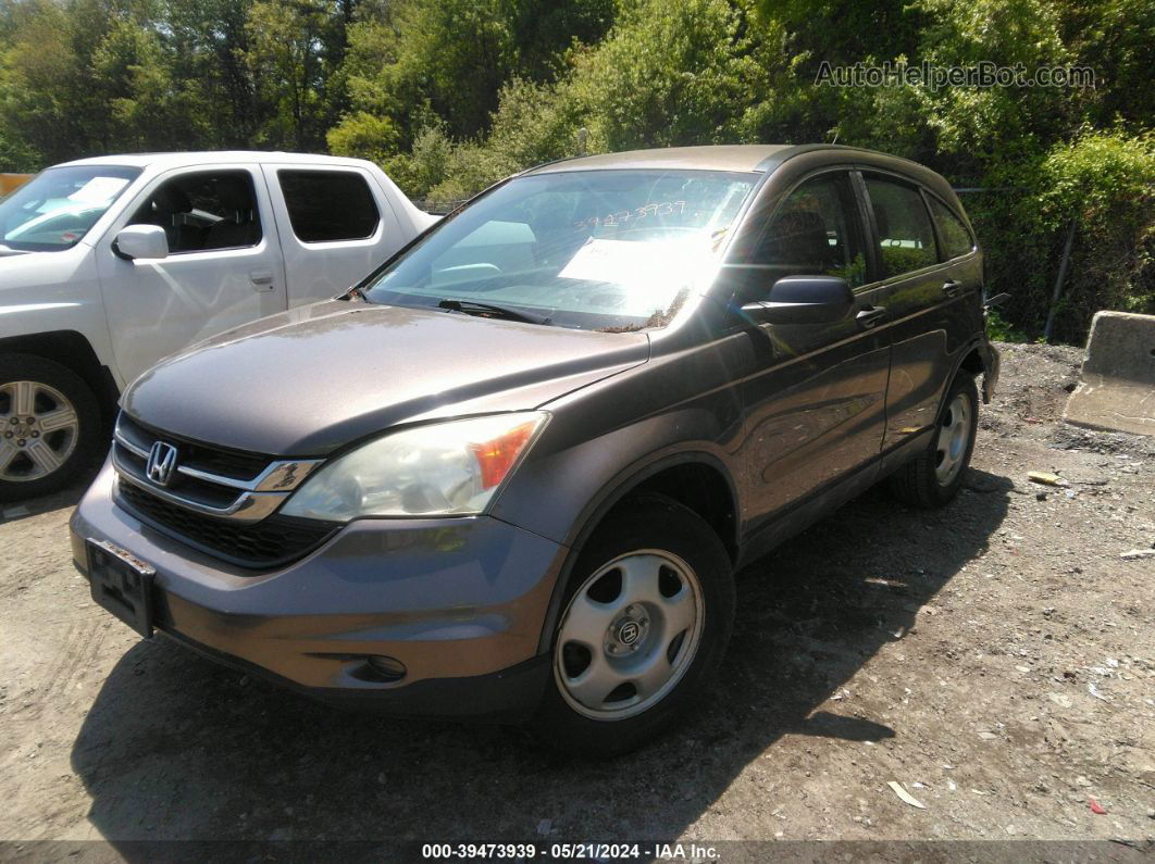 2010 Honda Cr-v Lx Gray vin: 5J6RE4H3XAL038697