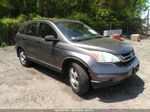 2010 Honda Cr-v Lx Gray vin: 5J6RE4H3XAL038697