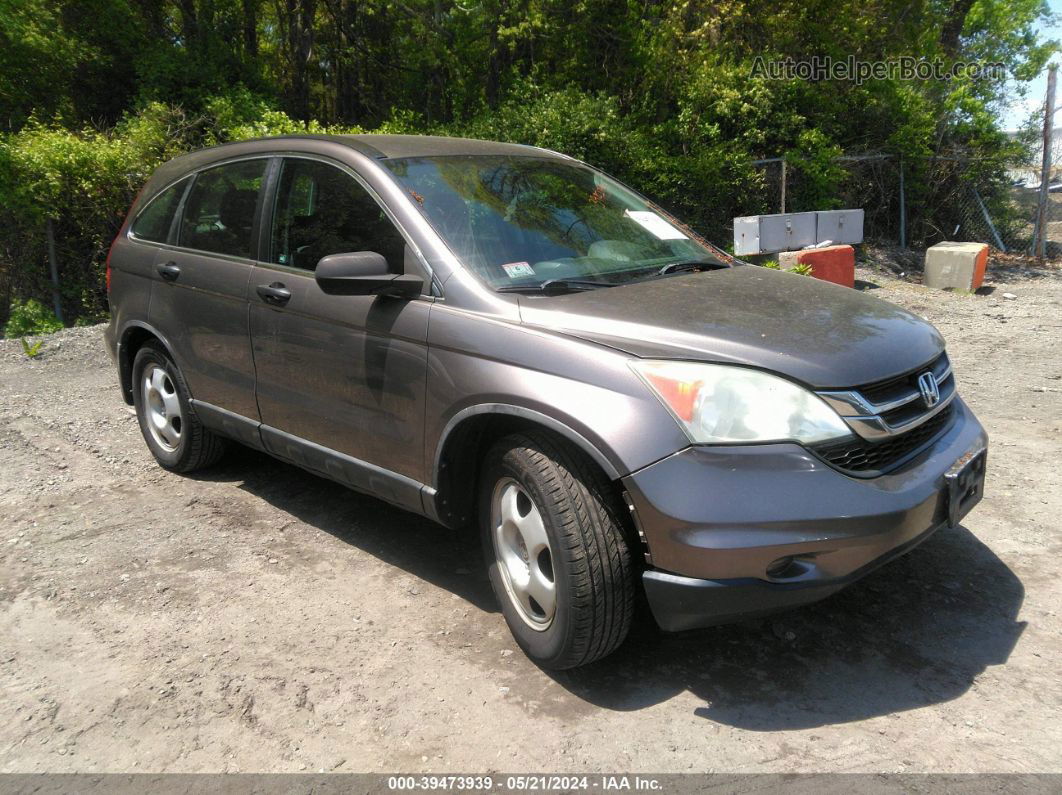 2010 Honda Cr-v Lx Gray vin: 5J6RE4H3XAL038697