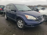 2010 Honda Cr-v Ex Blue vin: 5J6RE4H50AL096724