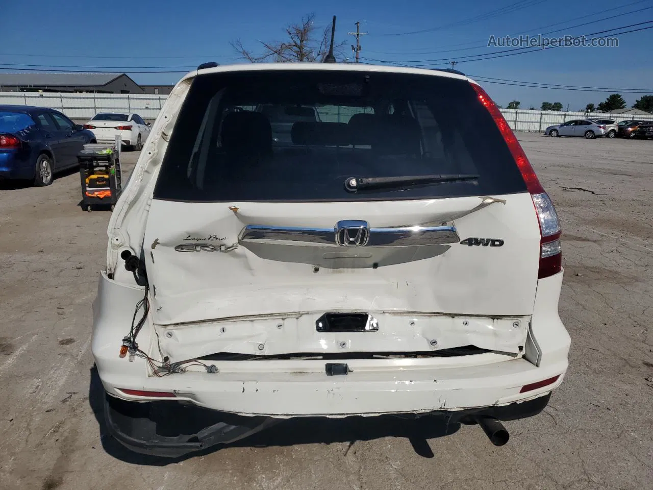 2010 Honda Cr-v Ex Белый vin: 5J6RE4H51AL070519