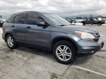 2010 Honda Cr-v Ex Gray vin: 5J6RE4H52AL069279