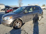 2010 Honda Cr-v Ex Tan vin: 5J6RE4H52AL079259