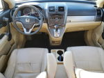 2010 Honda Cr-v Ex Tan vin: 5J6RE4H52AL079259