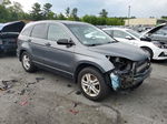 2010 Honda Cr-v Ex Gray vin: 5J6RE4H52AL091928