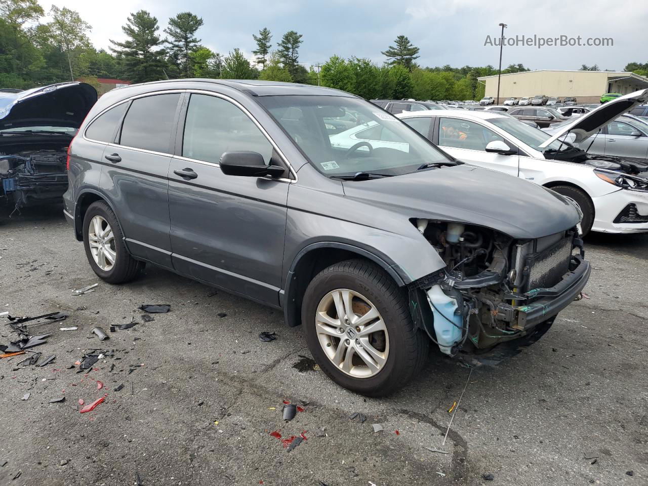 2010 Honda Cr-v Ex Gray vin: 5J6RE4H52AL091928