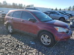 2010 Honda Cr-v Ex Red vin: 5J6RE4H52AL098832